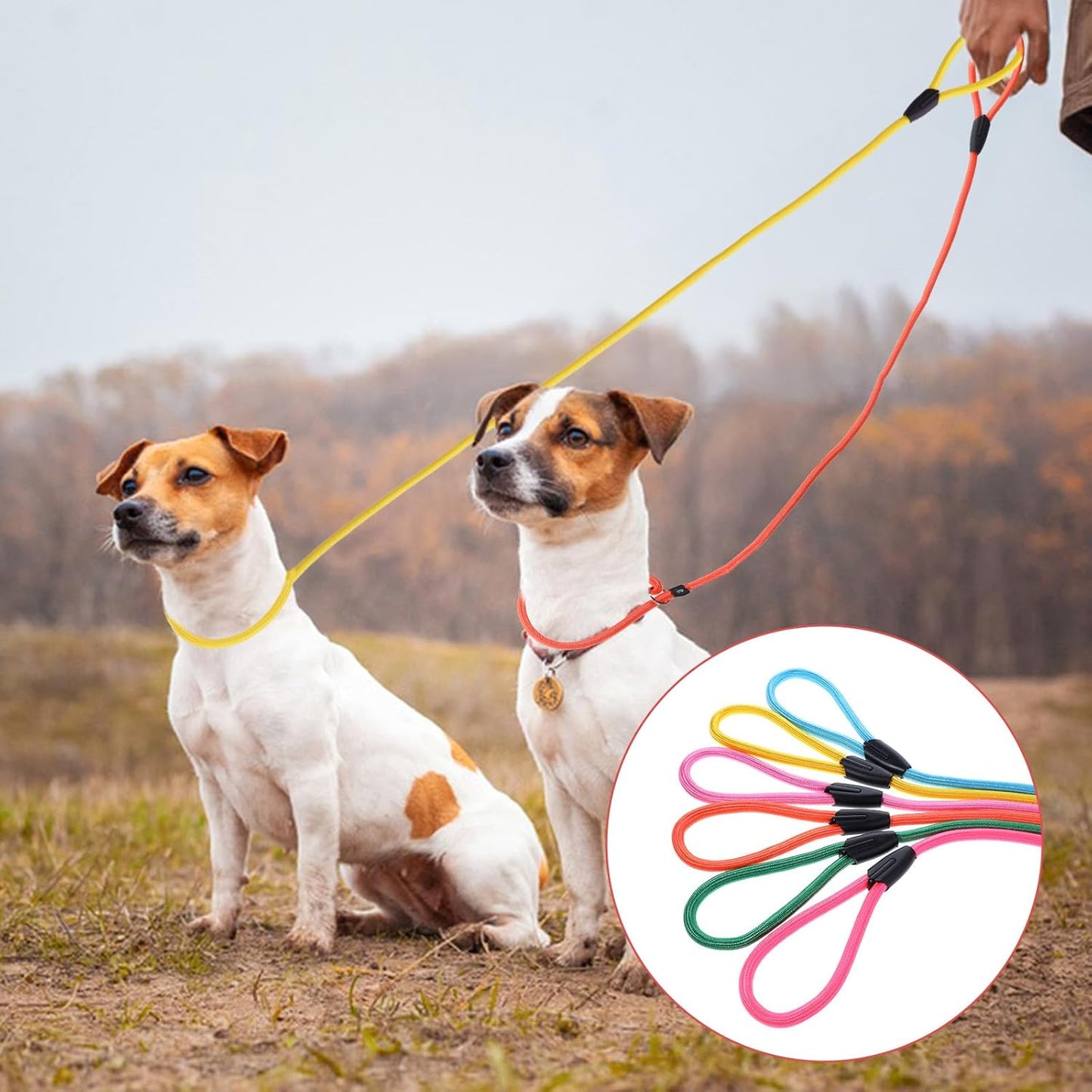 12pcs Slip Leads Dog Leash Heavy Duty Rope Leash for Small Medium Dogs, 5FT Classic Dog Leashes Strong Nylon Dogs Training Leashes Strong Comfortable Loop Leashs (12 Colors, 3/8")
