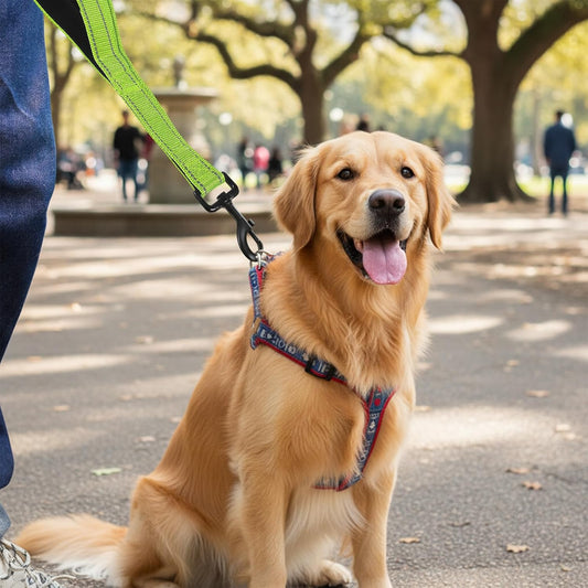 Unleash Adventure: The Ultimate Dog Leash Guide!