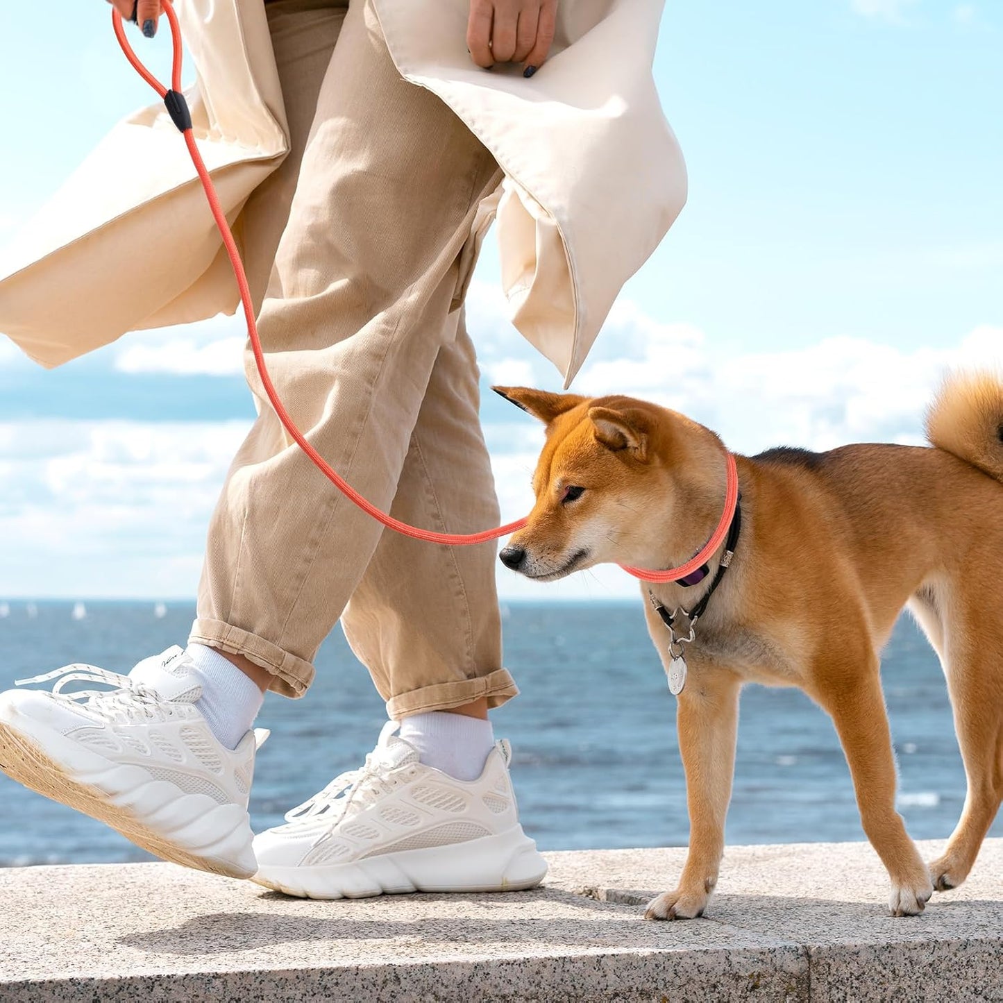 12pcs Slip Leads Dog Leash Heavy Duty Rope Leash for Small Medium Dogs, 5FT Classic Dog Leashes Strong Nylon Dogs Training Leashes Strong Comfortable Loop Leashs (12 Colors, 3/8")