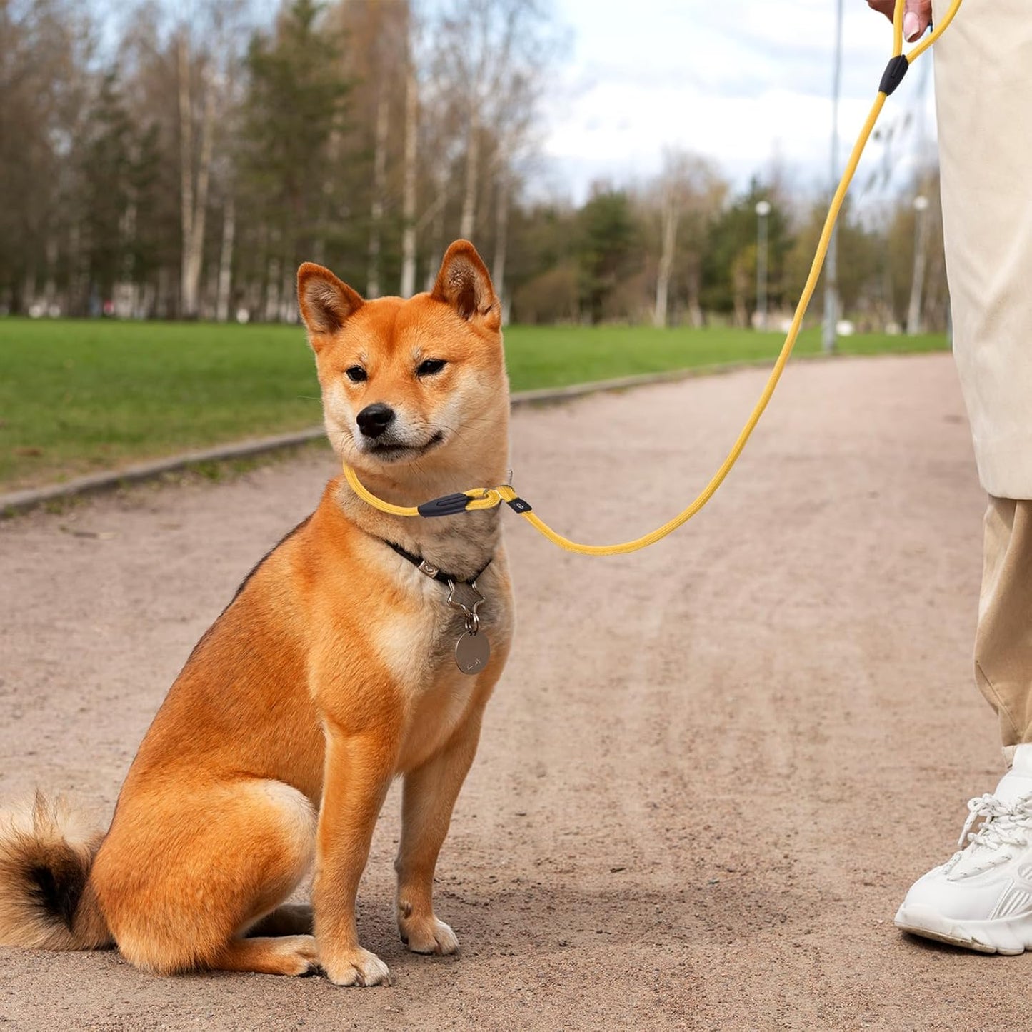 12pcs Slip Leads Dog Leash Heavy Duty Rope Leash for Small Medium Dogs, 5FT Classic Dog Leashes Strong Nylon Dogs Training Leashes Strong Comfortable Loop Leashs (12 Colors, 3/8")