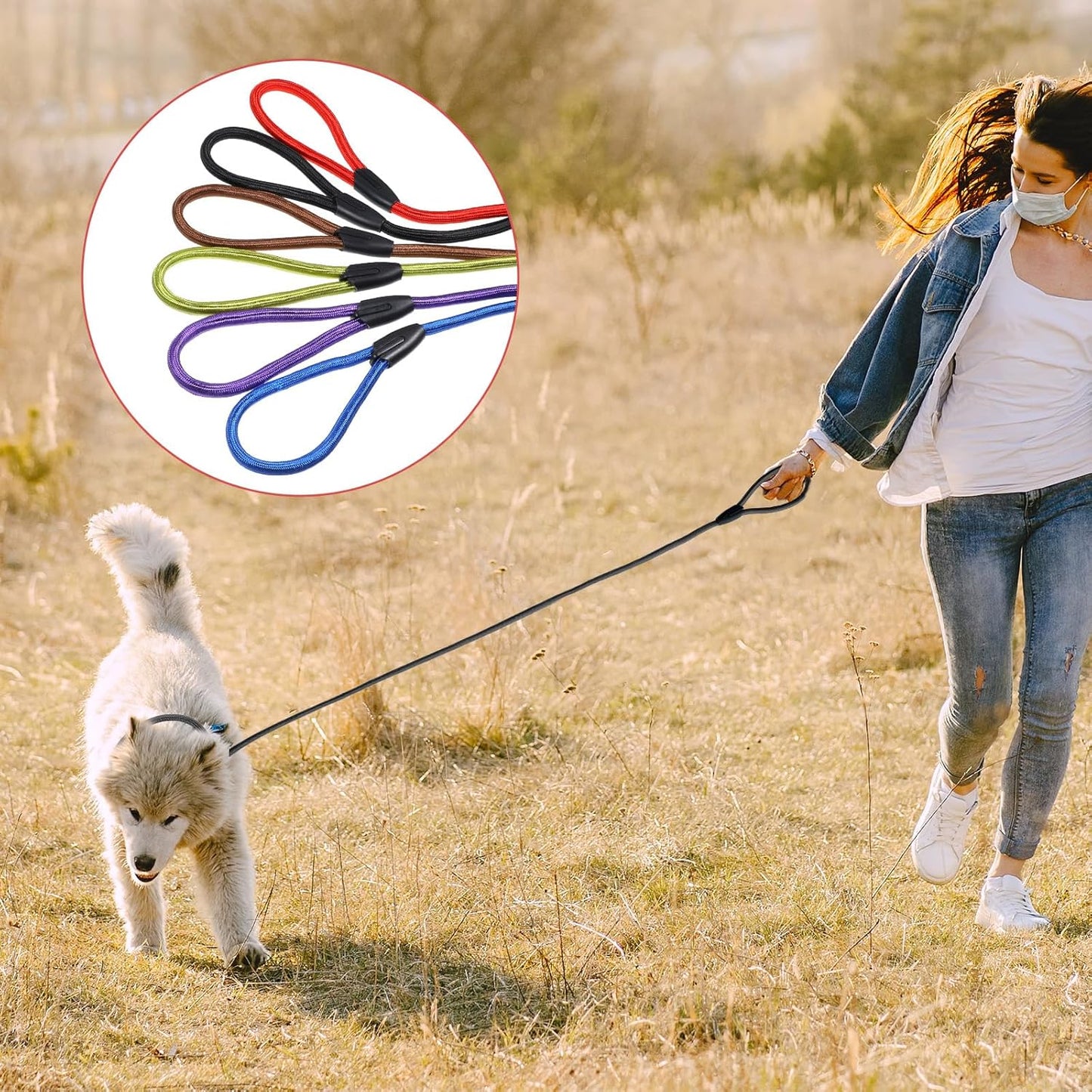 12pcs Slip Leads Dog Leash Heavy Duty Rope Leash for Small Medium Dogs, 5FT Classic Dog Leashes Strong Nylon Dogs Training Leashes Strong Comfortable Loop Leashs (12 Colors, 3/8")