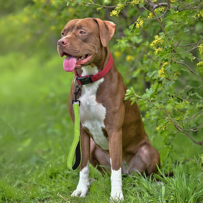 15” Small Dog Leashes Short Heavy Duty Green Chew-Resistant Pet Leash Nylon Leashes Walking Reflective with Traffic Padded Handle and 360° Swivel Clip Strong for Small Medium and Large Breeds