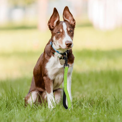 15” Small Dog Leashes Short Heavy Duty Green Chew-Resistant Pet Leash Nylon Leashes Walking Reflective with Traffic Padded Handle and 360° Swivel Clip Strong for Small Medium and Large Breeds