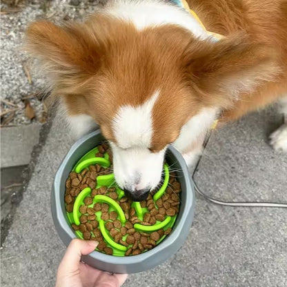 2 in 1 Slow Feed Dog Bowl with Anti-Choking Design, 7.5 Inch Pet Food Dish, Pink, Blue, Green (Blue)