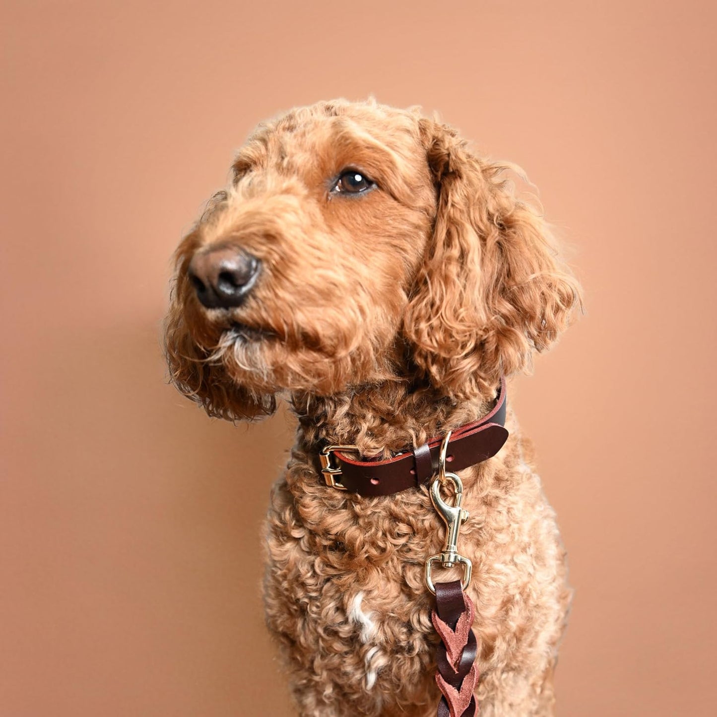 100% Real Leather Dog Collar and Leash Set, Premium Adjustable Fit with Durable Buckle, Stylish Comfort for Dogs (Small)