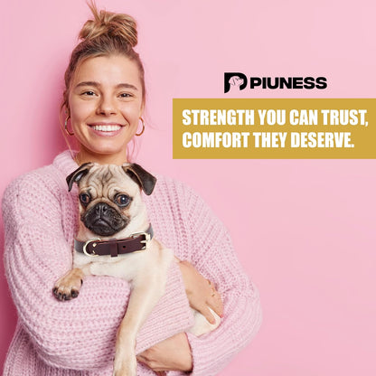 100% Real Leather Dog Collar and Leash Set, Premium Adjustable Fit with Durable Buckle, Stylish Comfort for Dogs (Small)